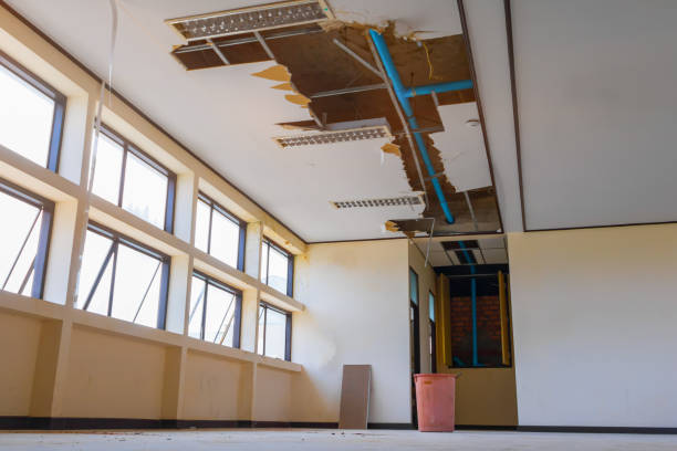 Best Sewage cleanup and water damage restoration  in Ocean Pines, MD