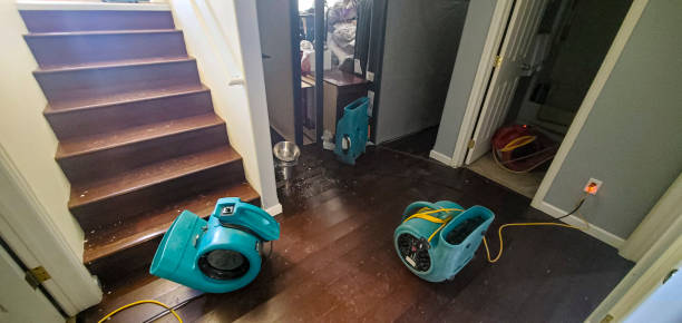 Best Flooded house restoration  in Ocean Pines, MD