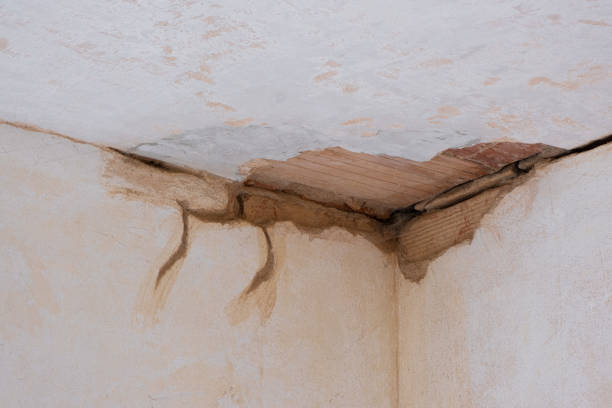 Best 24/7 water damage repair  in Ocean Pines, MD