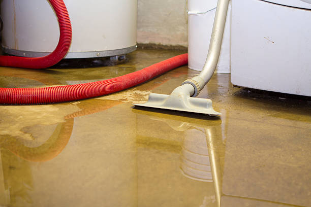 Best Mold removal after water damage  in Ocean Pines, MD