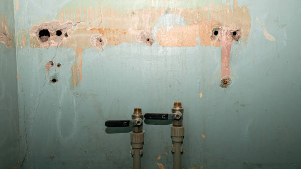 Best 24/7 water damage repair  in Ocean Pines, MD
