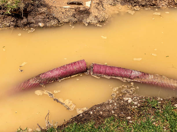 Best Water damage cleanup near me  in Ocean Pines, MD